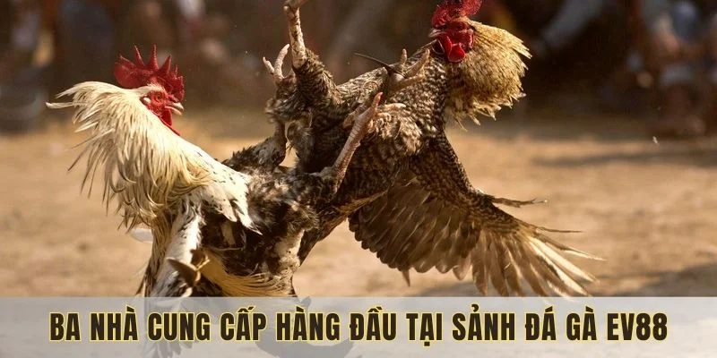 Đa-ga-Ev88-va-ba-nha-cung-cap-hang-dau